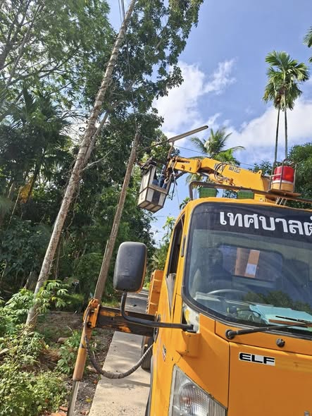 🗓️ วันอังคาร ที่  17 กุมภาพันธ์ 2569 
#เทศบาลตำบลกรูด นำโดย นายจรงค์ ชุมสุข นายกเทศมนตรีตำบลกรูด มอบหมายให้เจ้าหน้าที่กองช่าง
🚦#ลงพื้นที่ซ่อมแซมไฟฟ้าสาธารณะ พื้นที่ หมู่ที่ 3,9